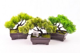 Mini bonsai 3 colores 3202 (1).jpg